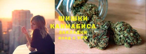 мдпв Каменногорск