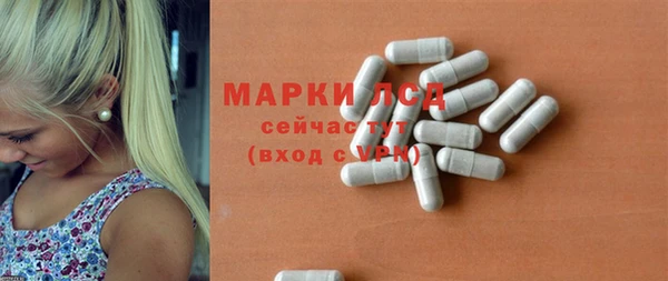 стафф Каменка