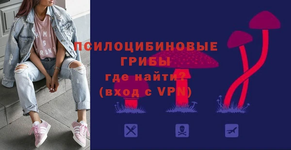 ECSTASY Каменск-Шахтинский