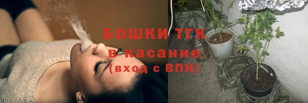 стафф Каменка