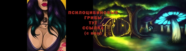 стафф Каменка