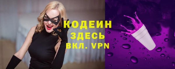 стафф Каменка