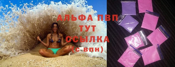 мдпв Каменногорск