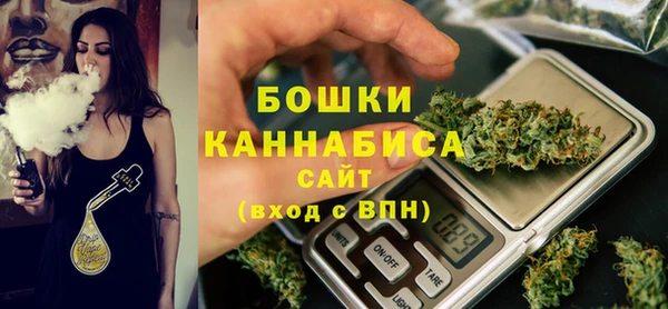 стафф Каменка