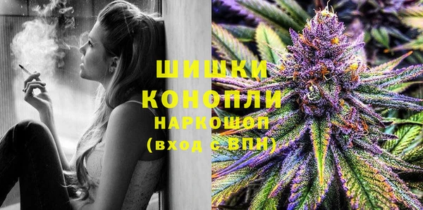 стафф Каменка