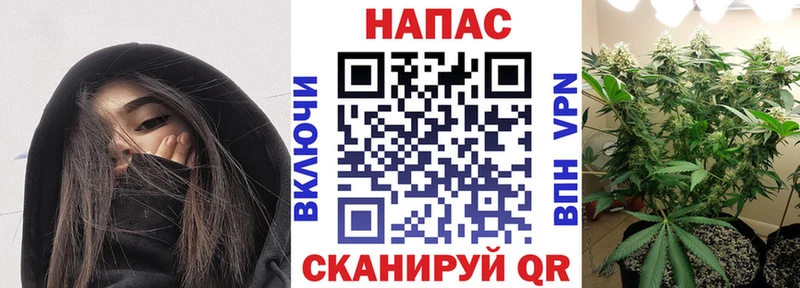Купить закладки  Дальнереченск  Бошки Шишки THC 21% 